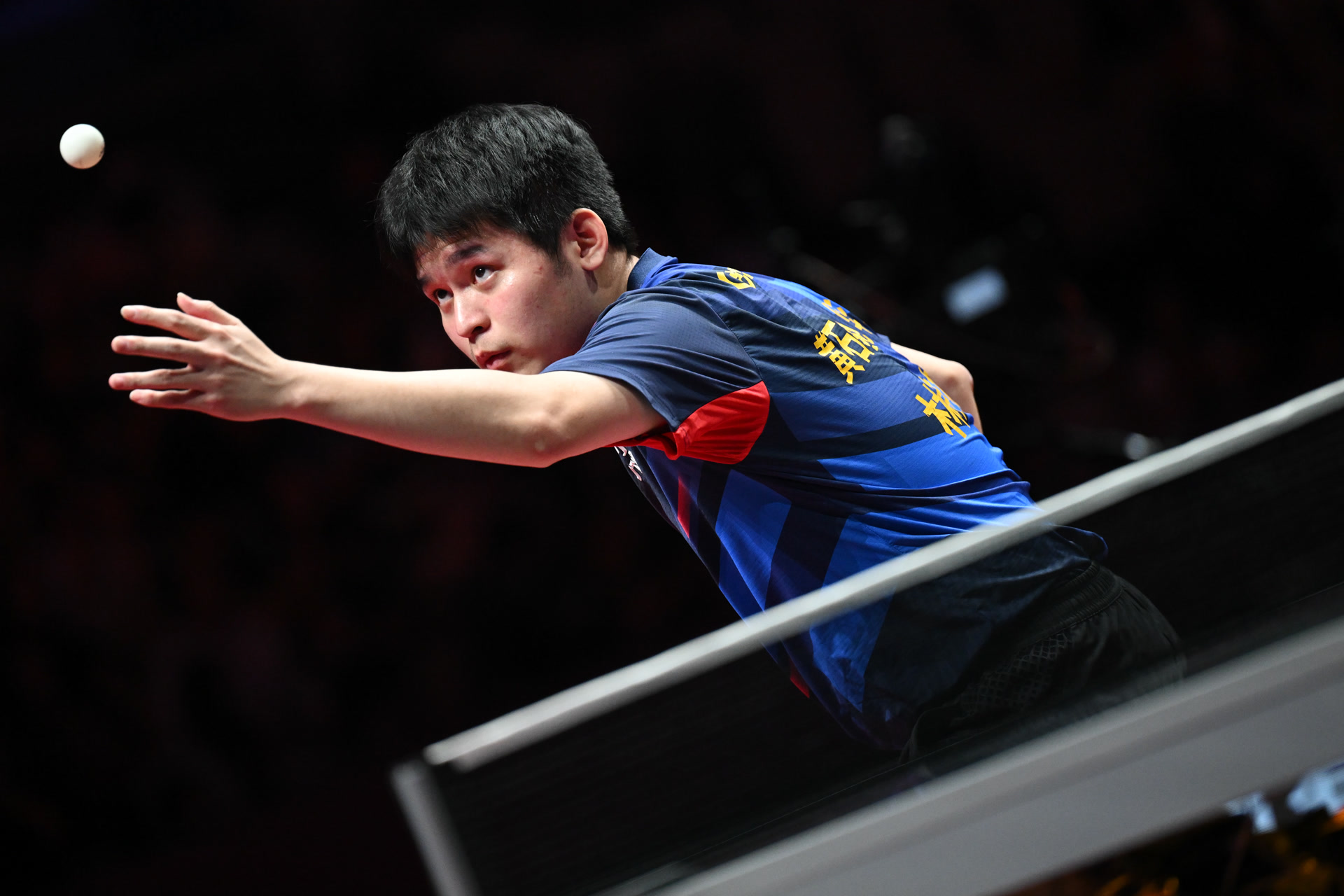 华新, 本尘埃落定, LFCHv 华新, 本尘埃落定, LFCHv