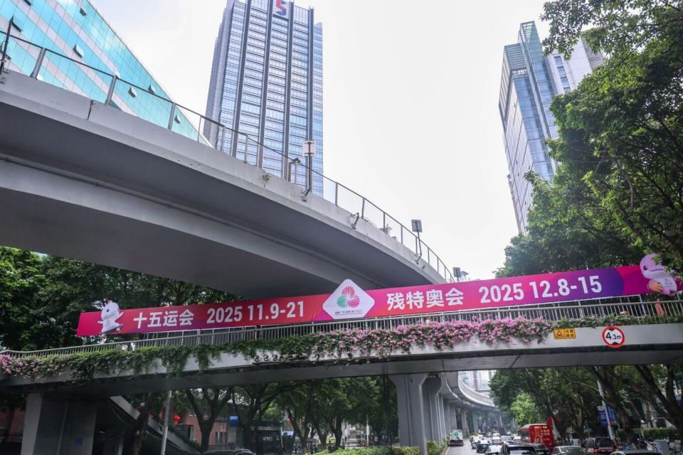 陈紫泳校对, NpH