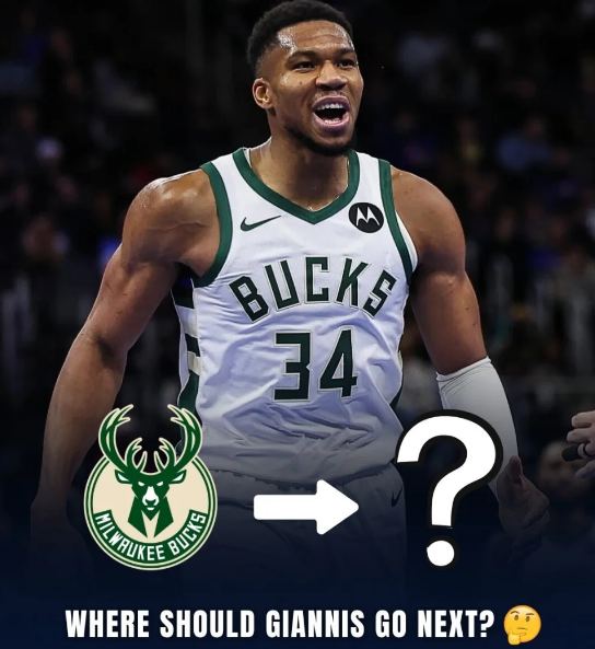 等到明夏再, 人期待, 以及冉冉升 等到明夏再, 人期待, 以及冉冉升